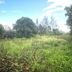 First image of Lititz Main Road in Lititz Pen, St. Elizabeth, Jamaica - property is For Sale