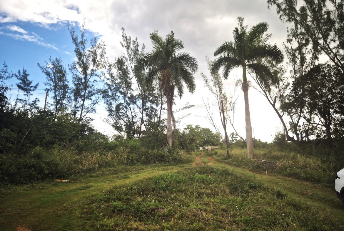 Fifth image of Lititz Main Road in Lititz Pen, St. Elizabeth, Jamaica - property is For Sale