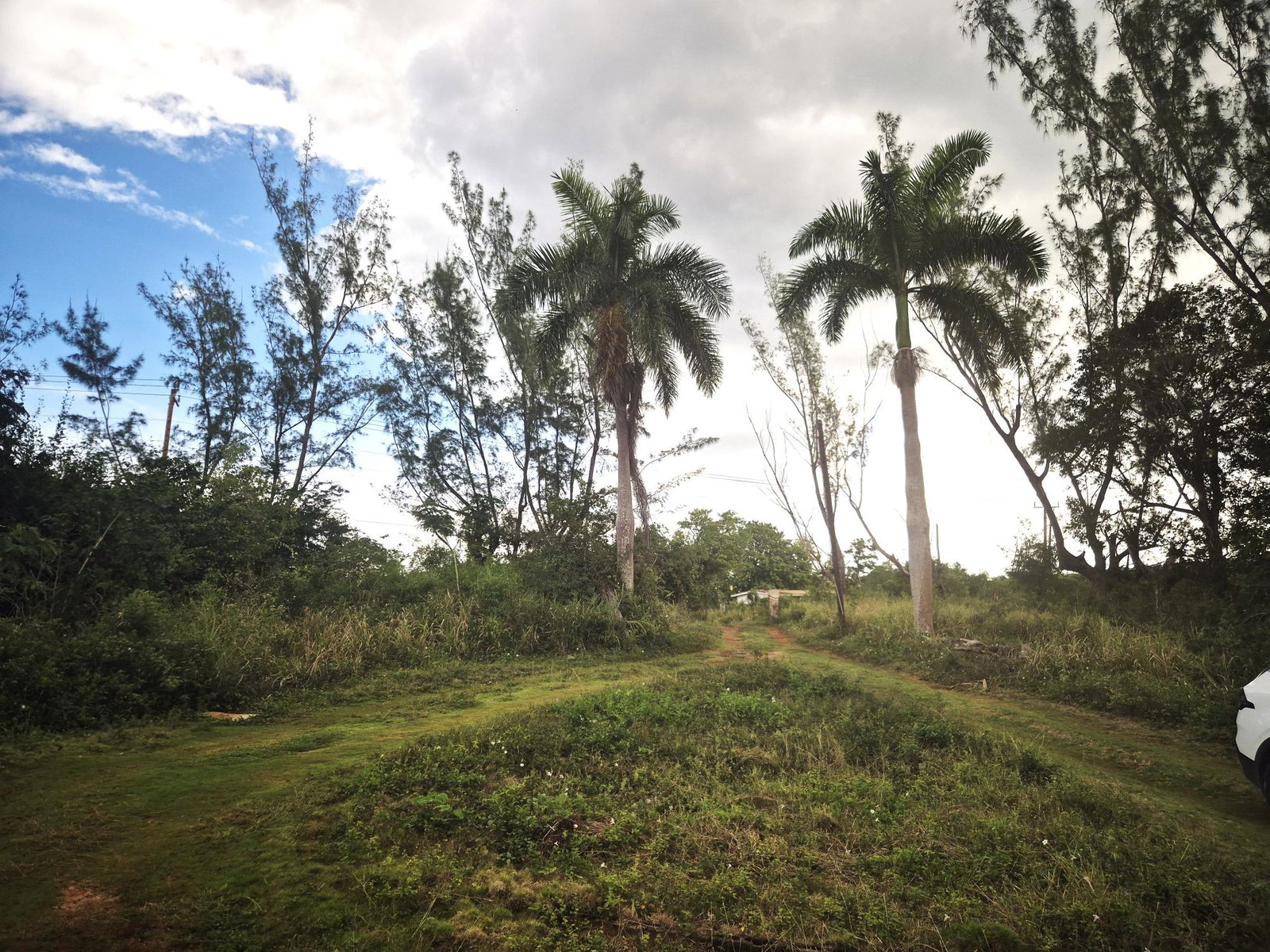 Fifth image of Lititz Main Road in Lititz Pen, St. Elizabeth, Jamaica - property is For Sale