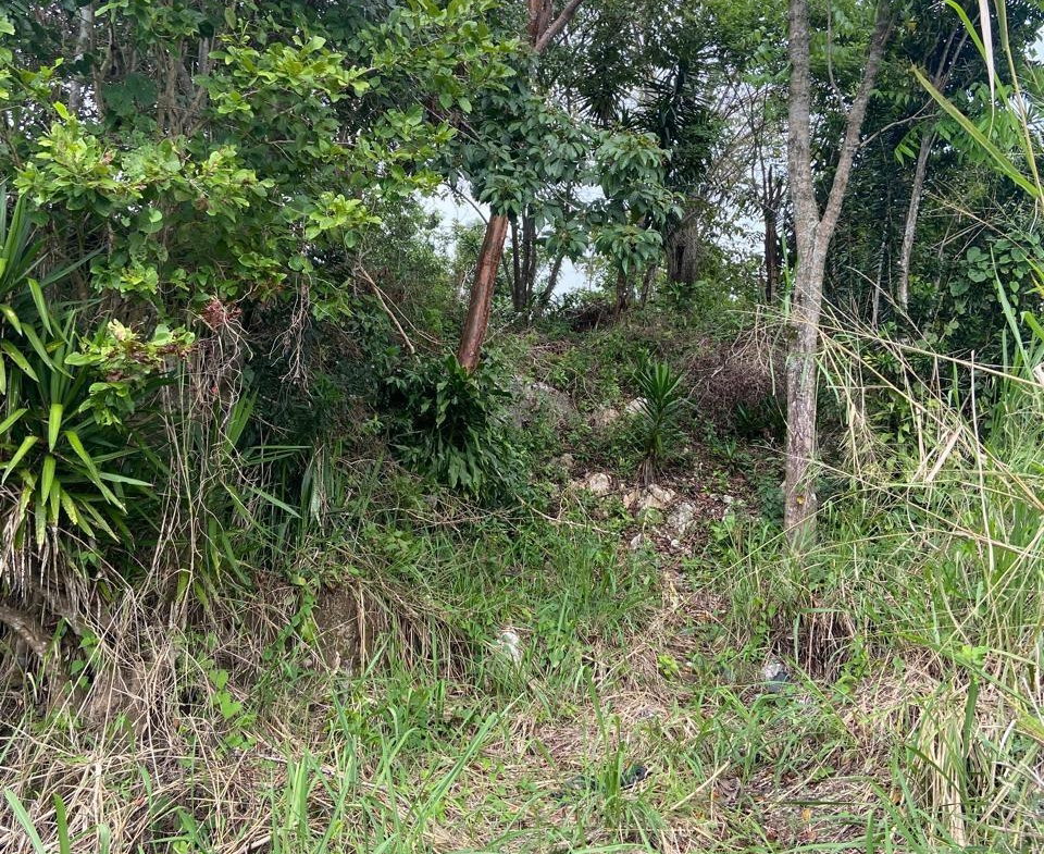 Second image of Lot 3 Silvera Close, Swain Spri in Red Hills, St. Andrew, Jamaica - property is For Sale