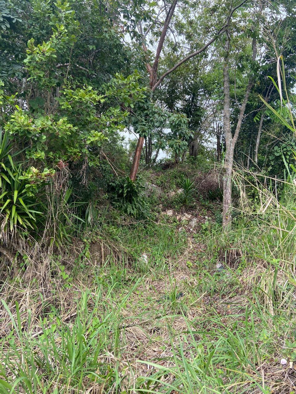 Second image of Lot 3 Silvera Close, Swain Spri in Red Hills, St. Andrew, Jamaica - property is For Sale