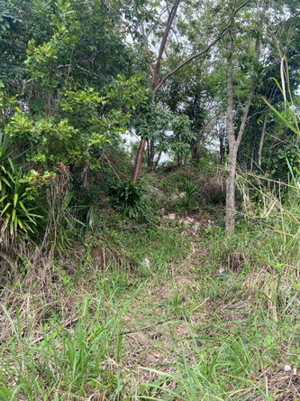 Second image of Lot 3 Silvera Close, Swain Spri in Red Hills, St. Andrew, Jamaica - property is For Sale