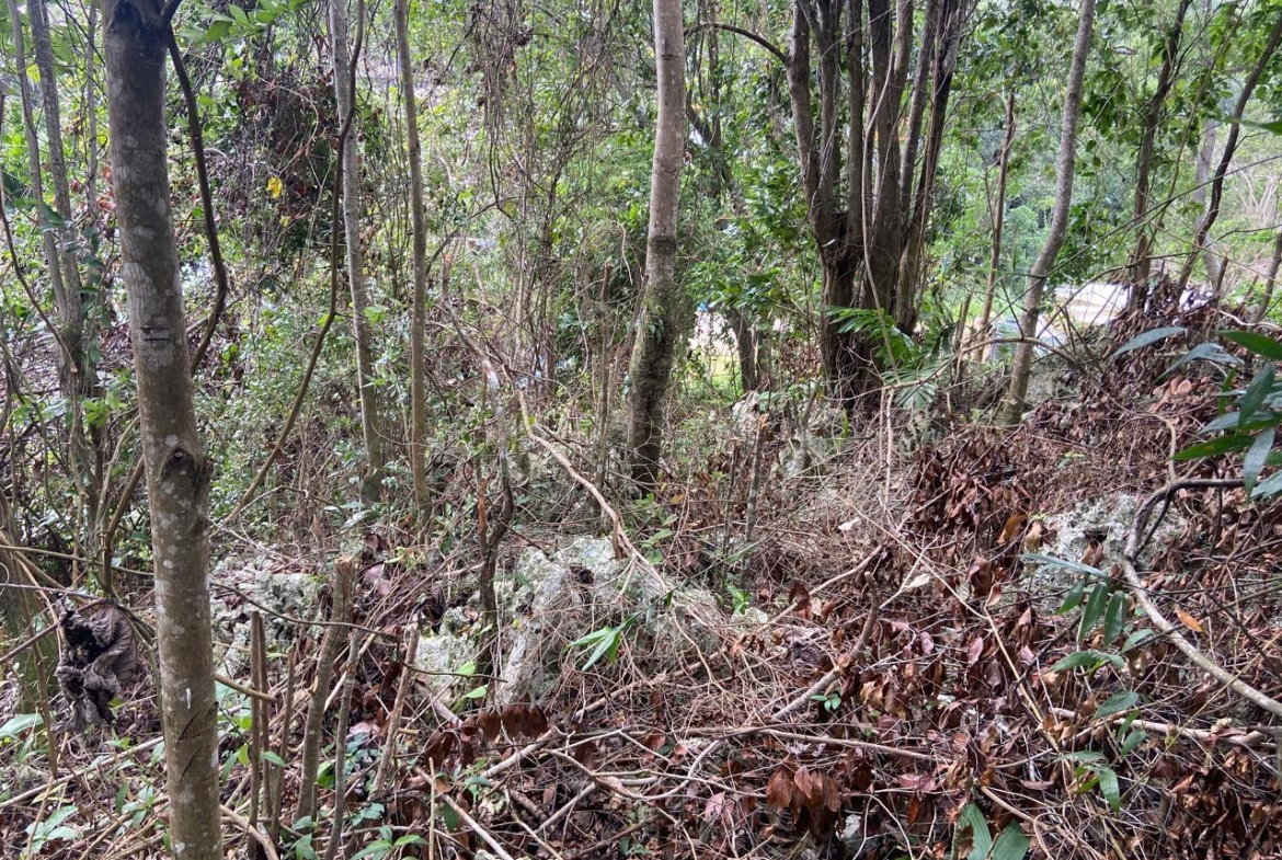 Third image of Lot 3 Silvera Close, Swain Spri in Red Hills, St. Andrew, Jamaica - property is For Sale