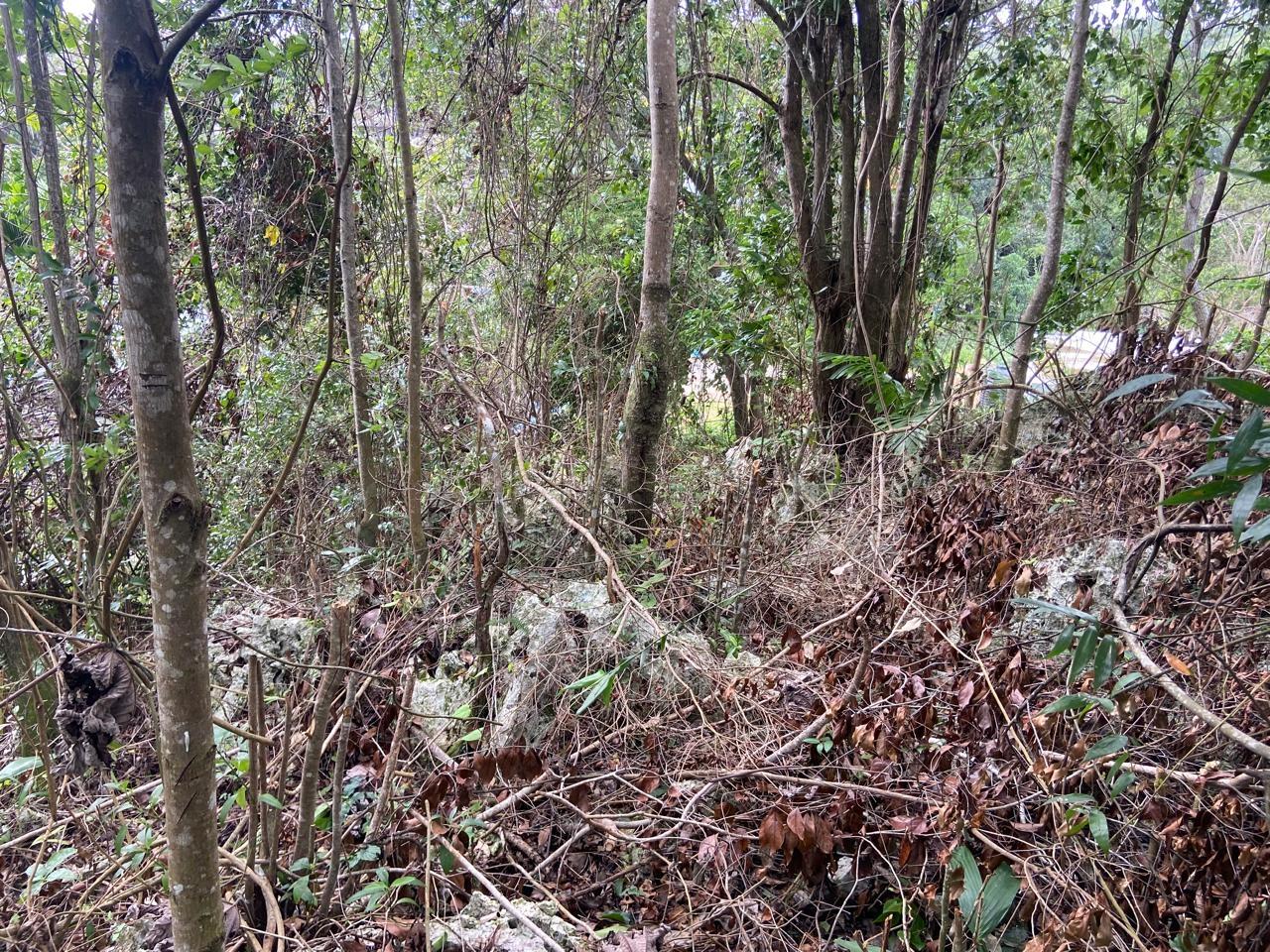 Third image of Lot 3 Silvera Close, Swain Spri in Red Hills, St. Andrew, Jamaica - property is For Sale