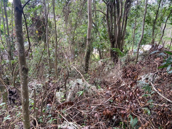 Third image of Lot 3 Silvera Close, Swain Spri in Red Hills, St. Andrew, Jamaica - property is For Sale