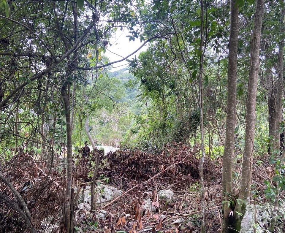 Fourth image of Lot 3 Silvera Close, Swain Spri in Red Hills, St. Andrew, Jamaica - property is For Sale