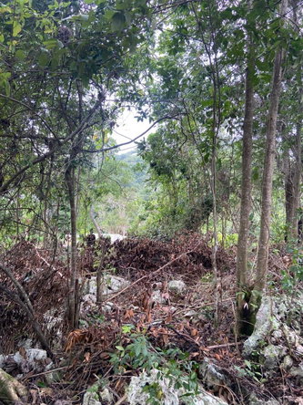 Fourth image of Lot 3 Silvera Close, Swain Spri in Red Hills, St. Andrew, Jamaica - property is For Sale
