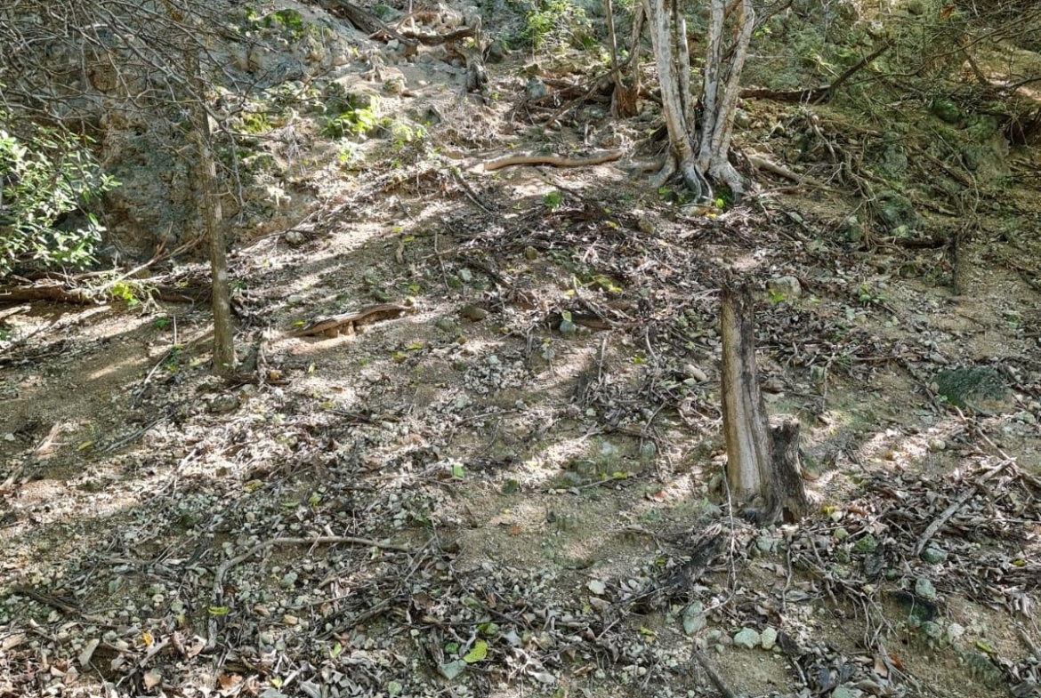 Nineteenth image of Lot 3c Fort Charles, Treasure be in Treasure Beach, St. Elizabeth, Jamaica - property is For Sale