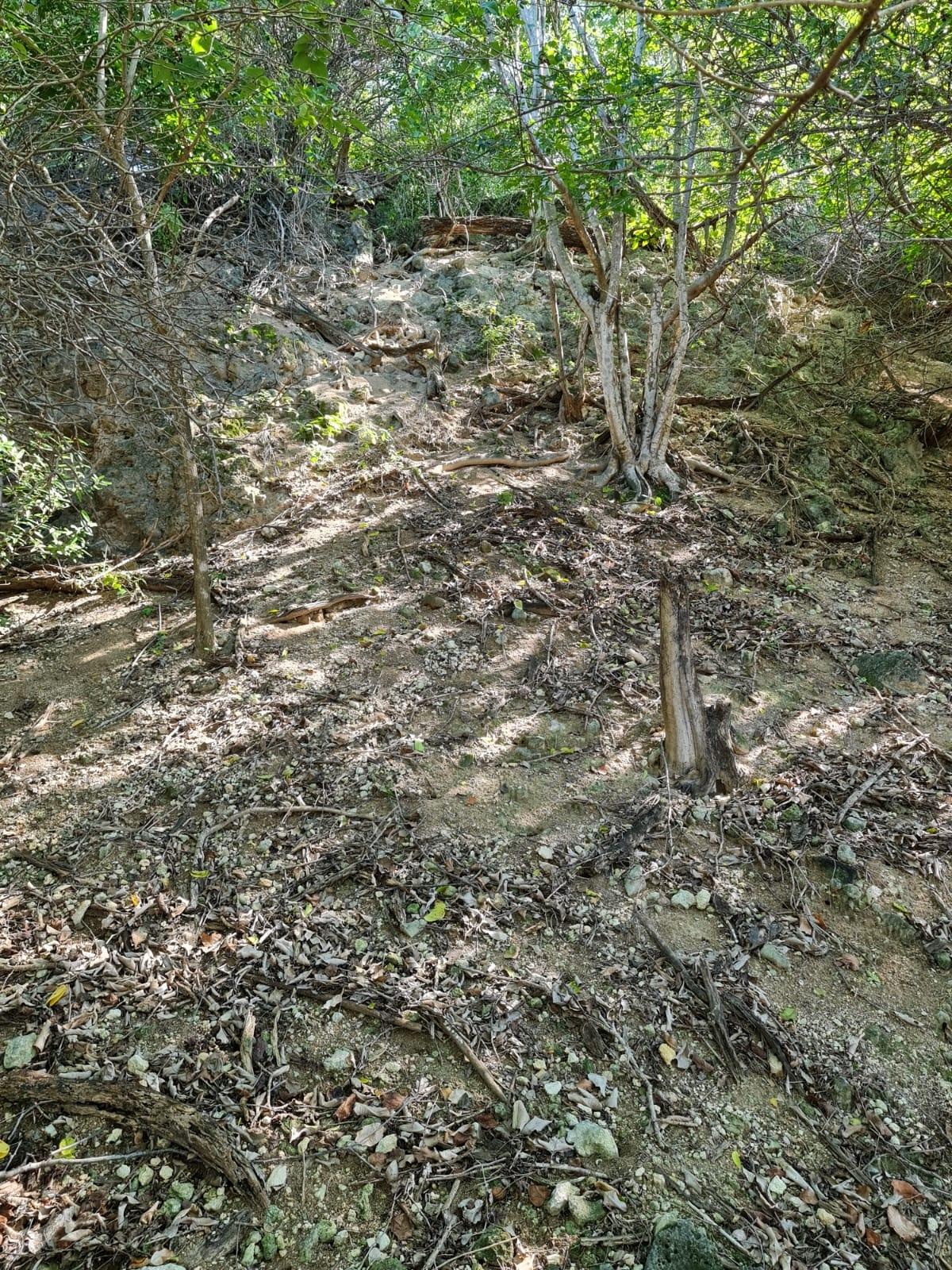 Nineteenth image of Lot 3c Fort Charles, Treasure be in Treasure Beach, St. Elizabeth, Jamaica - property is For Sale
