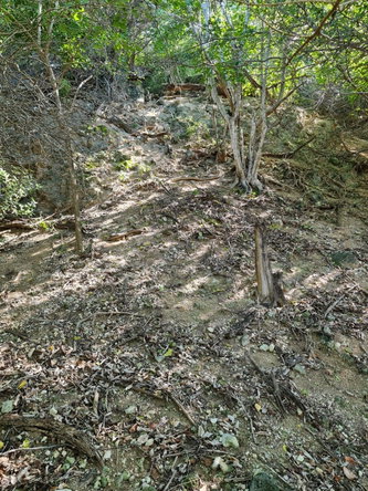 Nineteenth image of Lot 3c Fort Charles, Treasure be in Treasure Beach, St. Elizabeth, Jamaica - property is For Sale