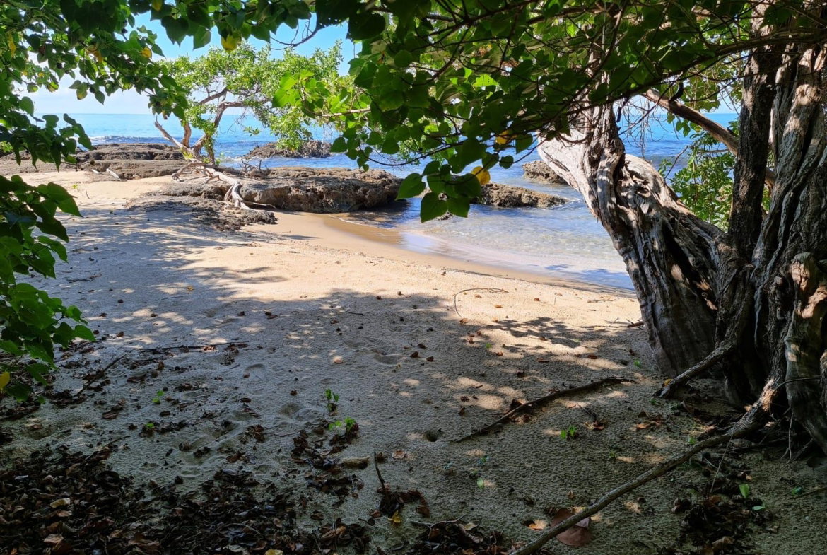 Fourth image of Lot 3c Fort Charles, Treasure be in Treasure Beach, St. Elizabeth, Jamaica - property is For Sale