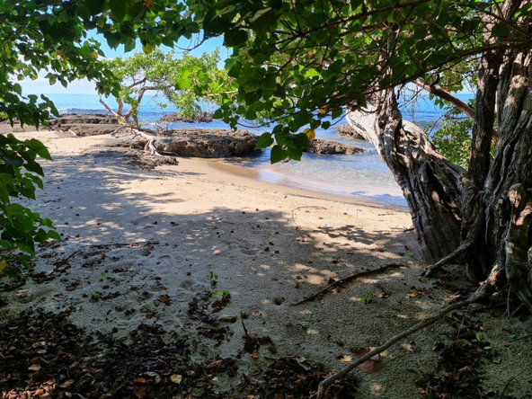 Fourth image of Lot 3c Fort Charles, Treasure be in Treasure Beach, St. Elizabeth, Jamaica - property is For Sale