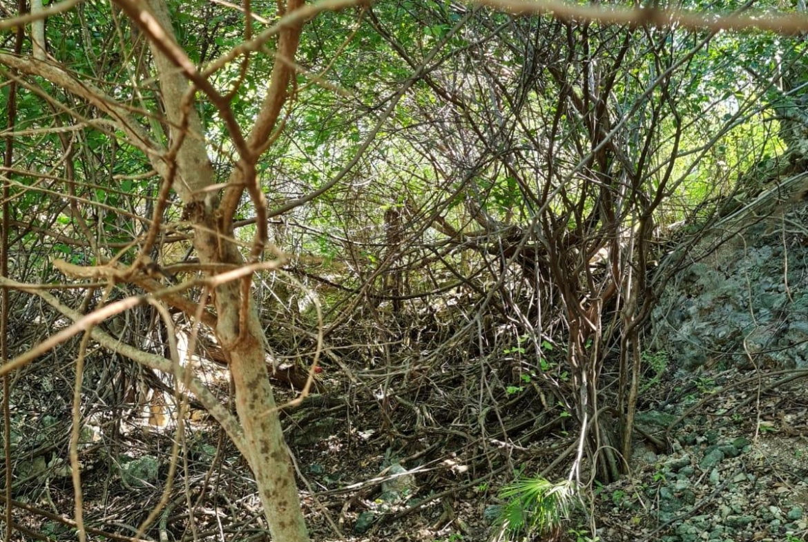 Fifth image of Lot 3c Fort Charles, Treasure be in Treasure Beach, St. Elizabeth, Jamaica - property is For Sale