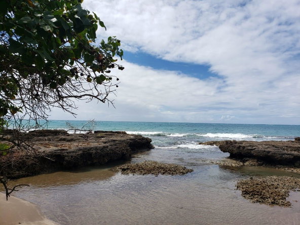 Ninth image of Lot 3c Fort Charles, Treasure be in Treasure Beach, St. Elizabeth, Jamaica - property is For Sale