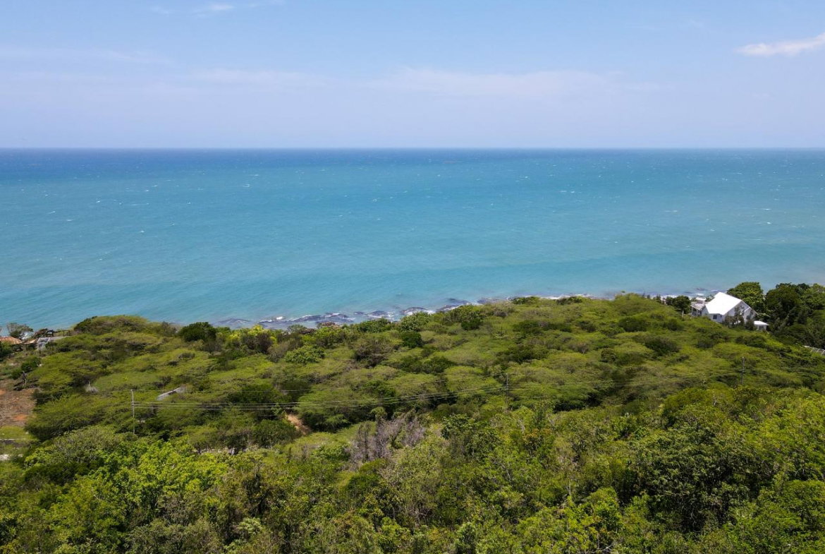 Tenth image of Lot 3c Fort Charles, Treasure be in Treasure Beach, St. Elizabeth, Jamaica - property is For Sale