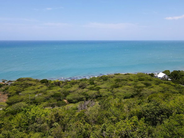 Tenth image of Lot 3c Fort Charles, Treasure be in Treasure Beach, St. Elizabeth, Jamaica - property is For Sale