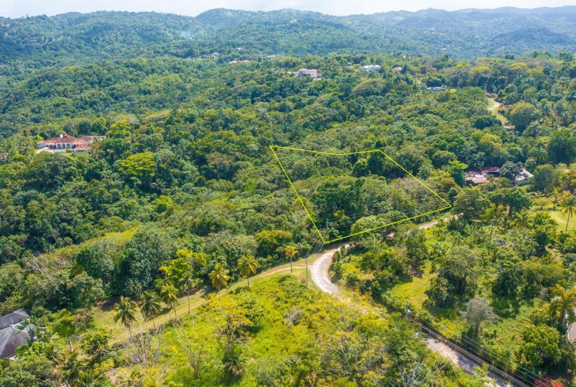 Fifth image of 1- Upton in Upton, St. Ann, Jamaica - property is For Sale