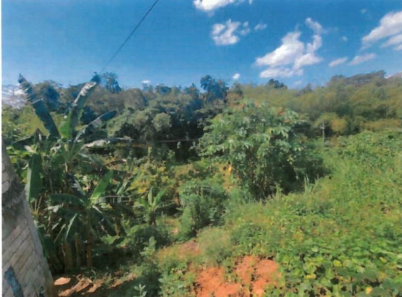 Second image of Vineyard Park in Linstead, St. Catherine, Jamaica - property is For Sale