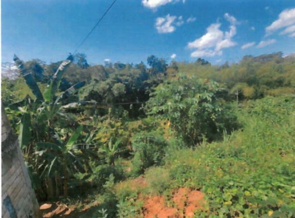 Second image of Vineyard Park in Linstead, St. Catherine, Jamaica - property is For Sale