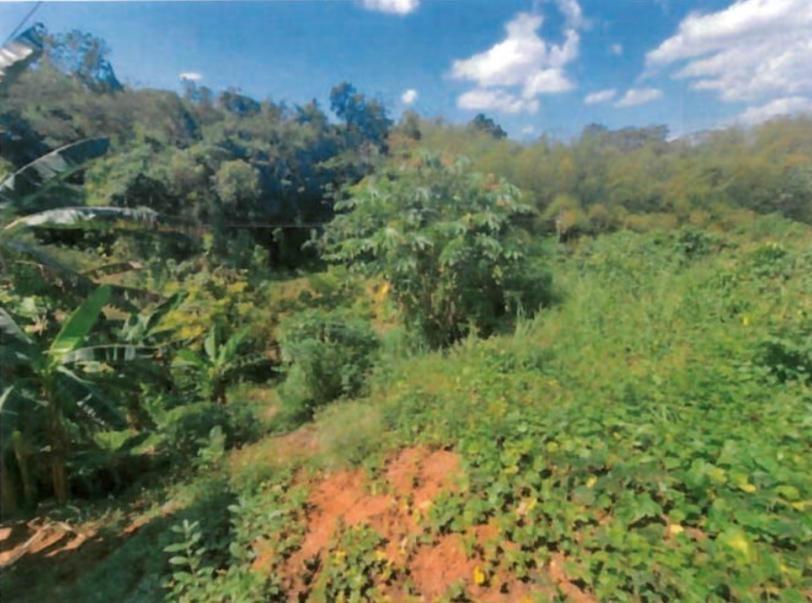Fifth image of Vineyard Park in Linstead, St. Catherine, Jamaica - property is For Sale