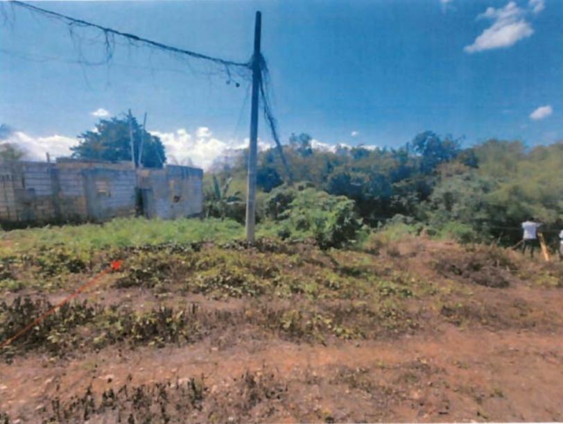 Sixth image of Vineyard Park in Linstead, St. Catherine, Jamaica - property is For Sale
