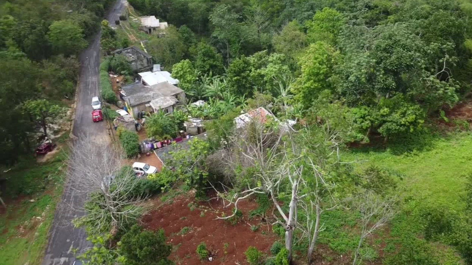 Fourth image of Virginia Land Settlement, in Bombay, Manchester, Jamaica - property is For Sale