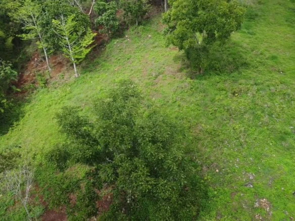 First image of Virginia Land Settlement, in Bombay, Manchester, Jamaica - property is For Sale