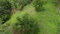 First image of Virginia Land Settlement, in Bombay, Manchester, Jamaica - property is For Sale