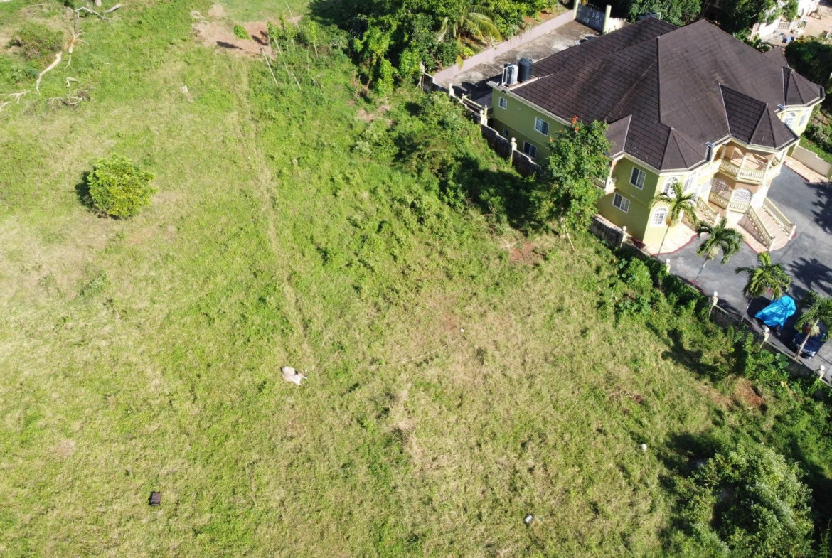 Fifth image of Williamsfield in Comfort, Manchester, Jamaica - property is For Sale