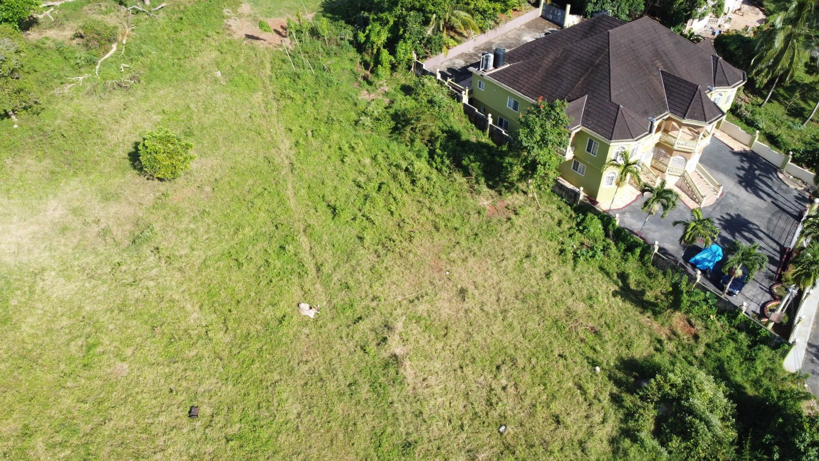 Fifth image of Williamsfield in Comfort, Manchester, Jamaica - property is For Sale