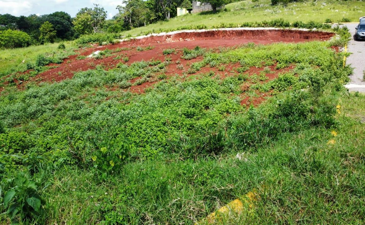 Thirteenth image of Part of Knockpatrick in Knockpatirck, Manchester, Jamaica - property is For Sale