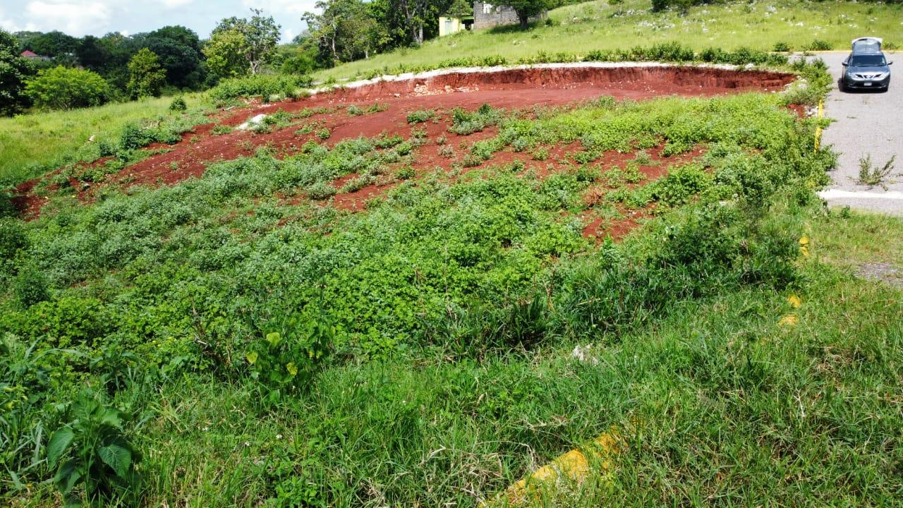Thirteenth image of Part of Knockpatrick in Knockpatirck, Manchester, Jamaica - property is For Sale