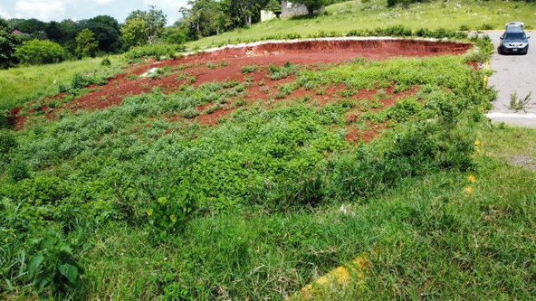 Thirteenth image of Part of Knockpatrick in Knockpatirck, Manchester, Jamaica - property is For Sale