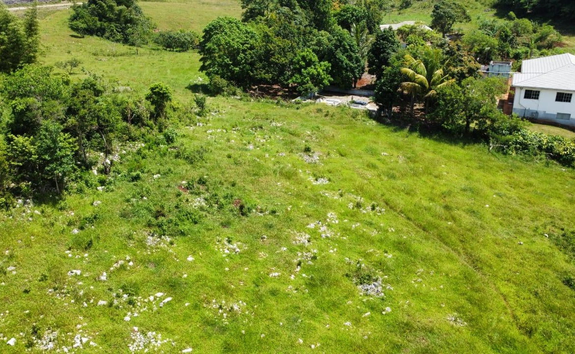 Fifteenth image of Part of Knockpatrick in Knockpatirck, Manchester, Jamaica - property is For Sale