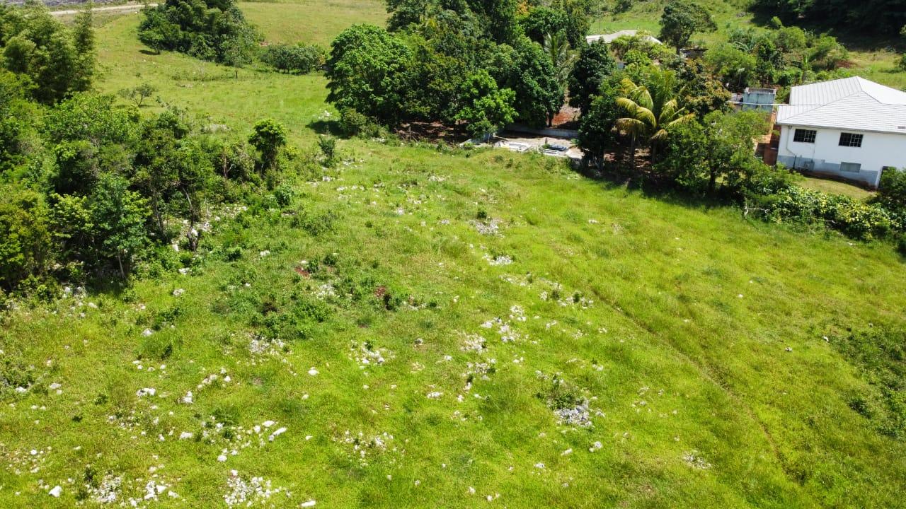 Fifteenth image of Part of Knockpatrick in Knockpatirck, Manchester, Jamaica - property is For Sale