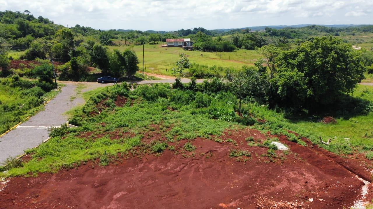 Sixteenth image of Part of Knockpatrick in Knockpatirck, Manchester, Jamaica - property is For Sale