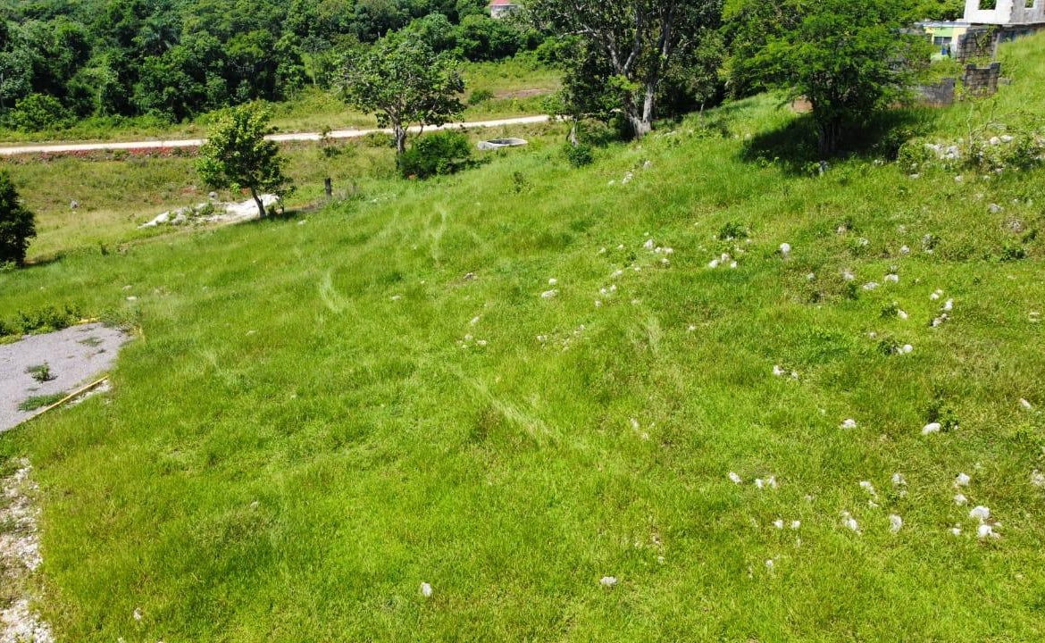Seventh image of Part of Knockpatrick in Knockpatirck, Manchester, Jamaica - property is For Sale