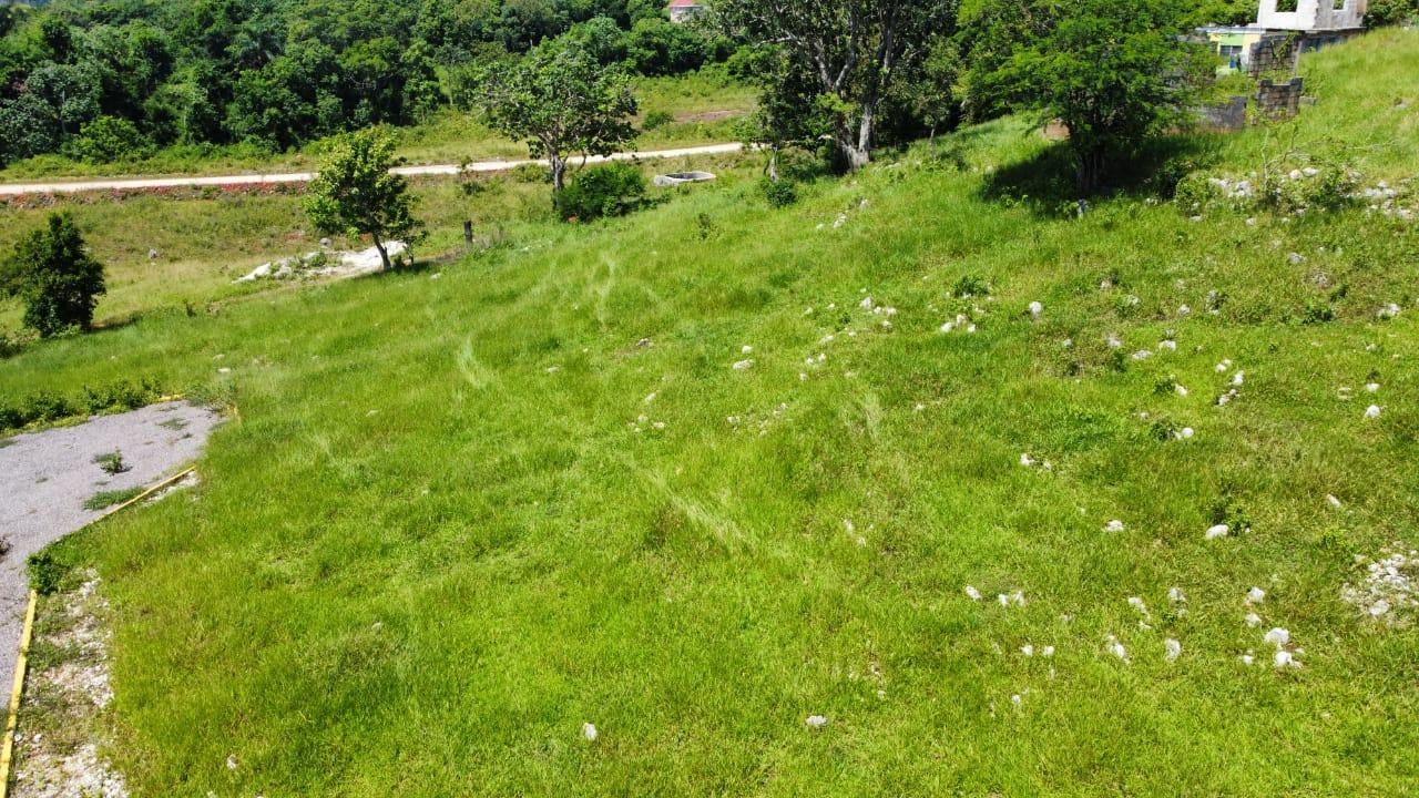 Seventh image of Part of Knockpatrick in Knockpatirck, Manchester, Jamaica - property is For Sale