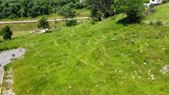 Seventh image of Part of Knockpatrick in Knockpatirck, Manchester, Jamaica - property is For Sale