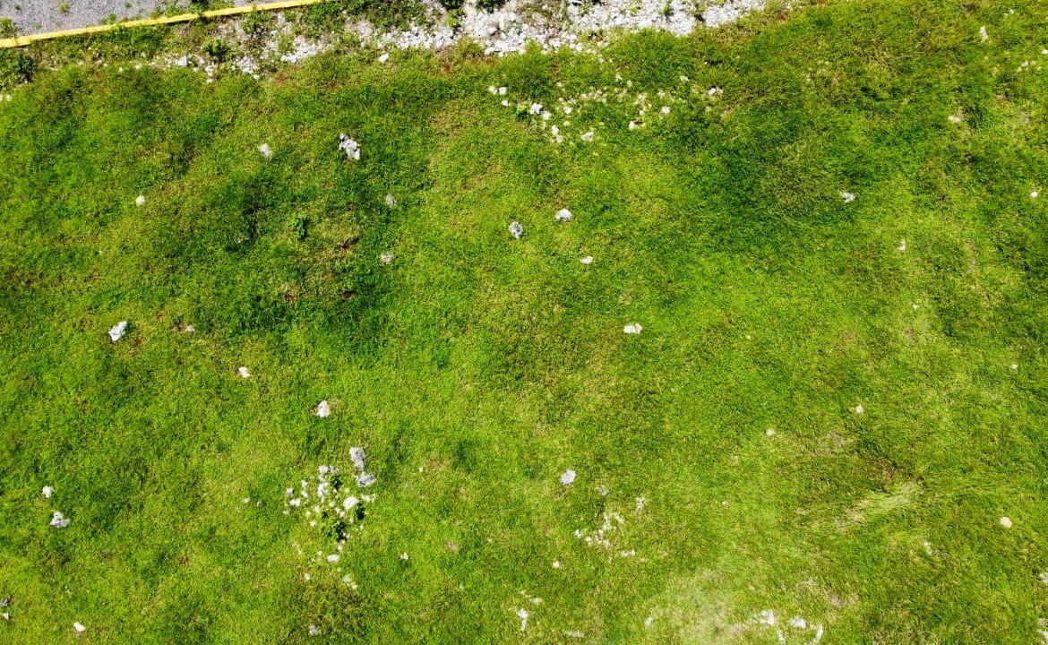 Eighth image of Part of Knockpatrick in Knockpatirck, Manchester, Jamaica - property is For Sale