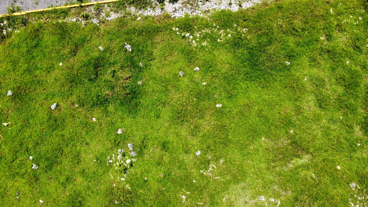 Eighth image of Part of Knockpatrick in Knockpatirck, Manchester, Jamaica - property is For Sale