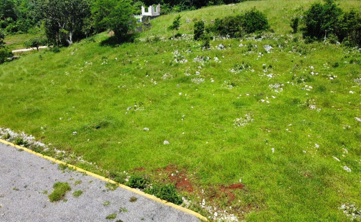 Ninth image of Part of Knockpatrick in Knockpatirck, Manchester, Jamaica - property is For Sale