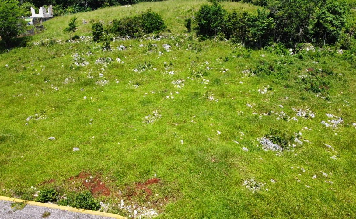 Tenth image of Part of Knockpatrick in Knockpatirck, Manchester, Jamaica - property is For Sale