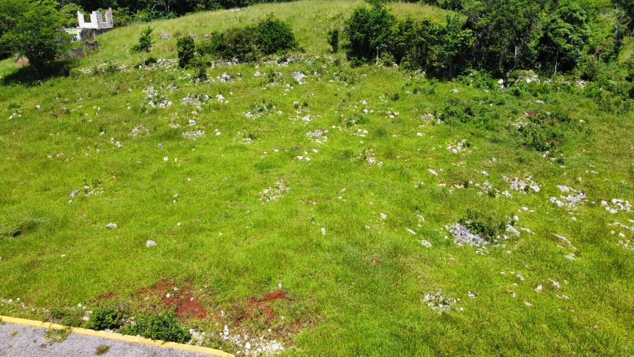 Tenth image of Part of Knockpatrick in Knockpatirck, Manchester, Jamaica - property is For Sale