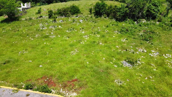 Tenth image of Part of Knockpatrick in Knockpatirck, Manchester, Jamaica - property is For Sale