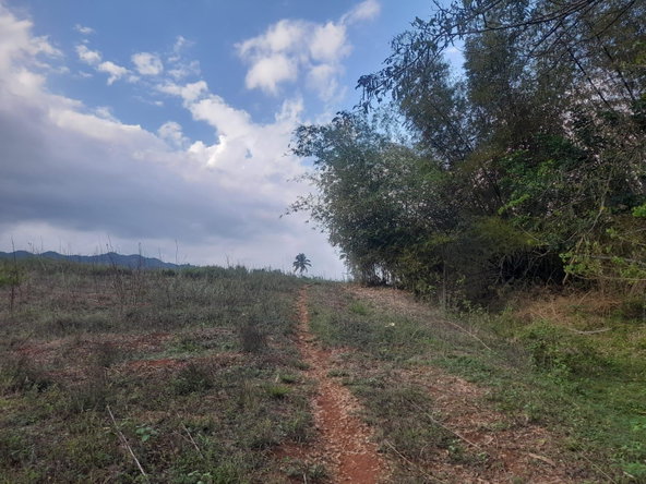 Second image of Lot 8 Part of Palms Plantation in Linstead, St. Catherine, Jamaica - property is For Sale