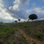First image of Lot 8 Part of Palms Plantation in Linstead, St. Catherine, Jamaica - property is For Sale