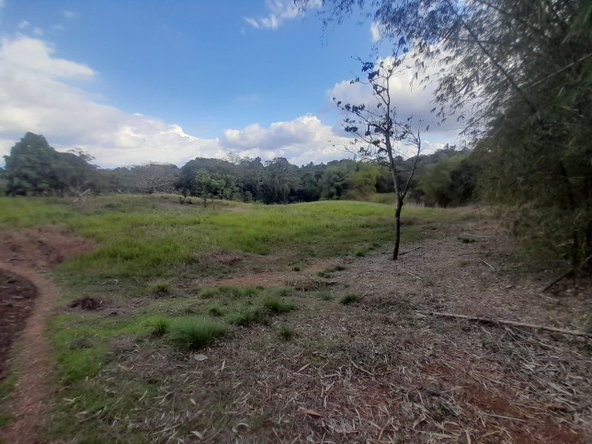 Fifth image of Lot 8 Part of Palms Plantation in Linstead, St. Catherine, Jamaica - property is For Sale