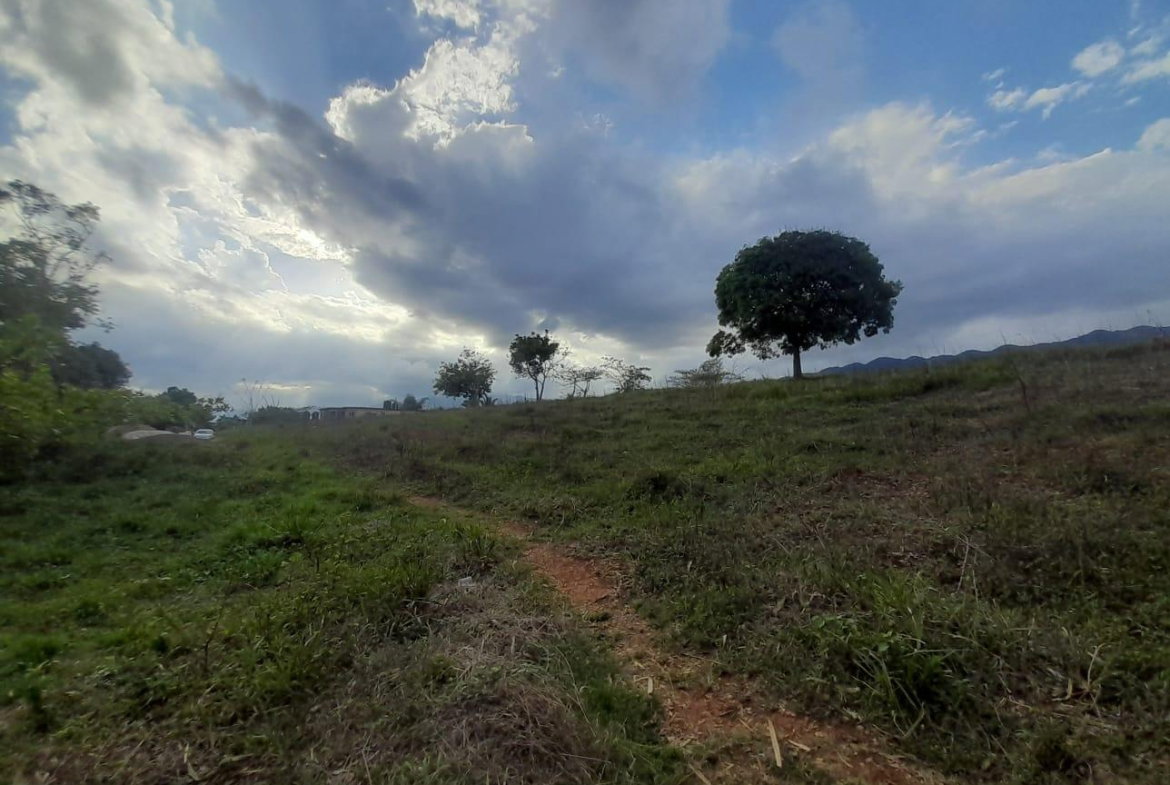 First image of Lot 7 Part of Palms Plantation in Linstead, St. Catherine, Jamaica - property is For Sale