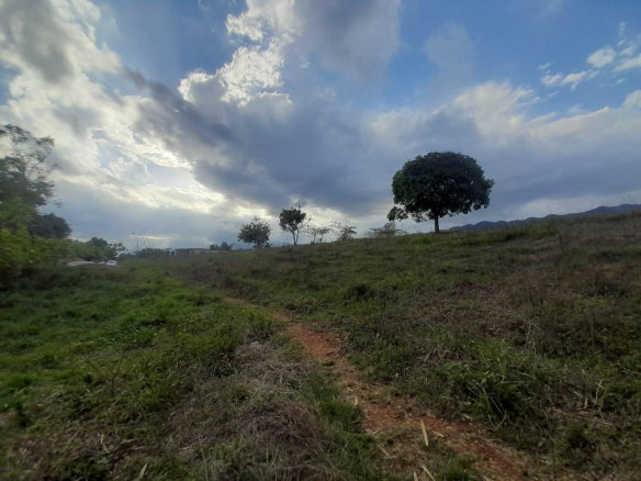 First image of Lot 7 Part of Palms Plantation in Linstead, St. Catherine, Jamaica - property is For Sale